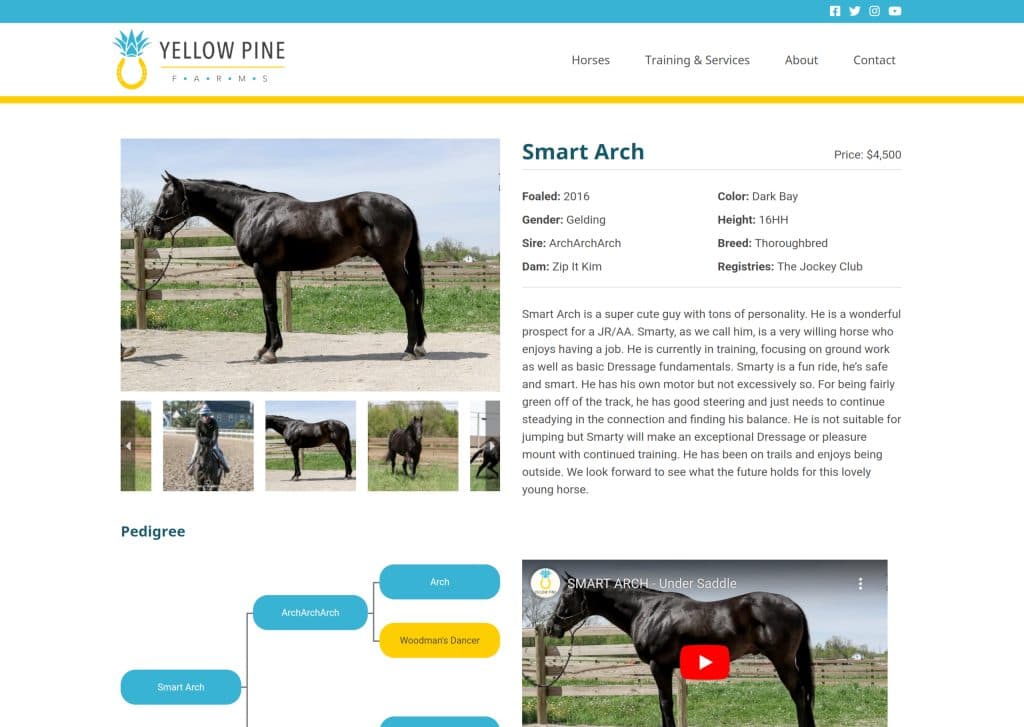 Yellow Pine Farms